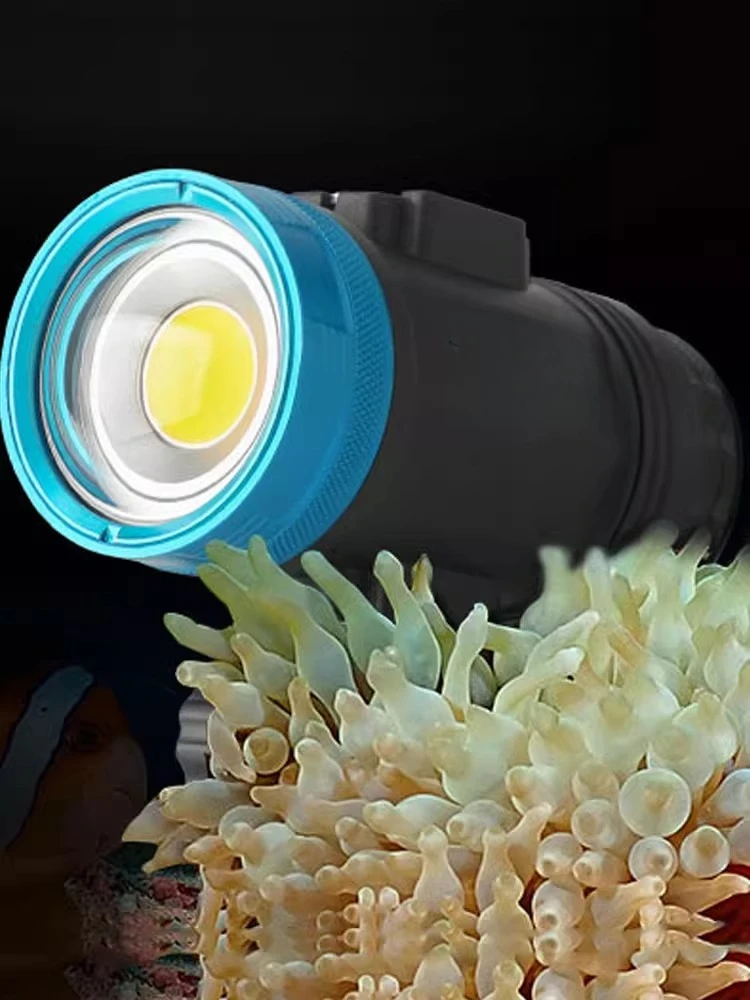WF099SolarFlare7000S wide angl - Photography Lighting Angles ulasan dan harga