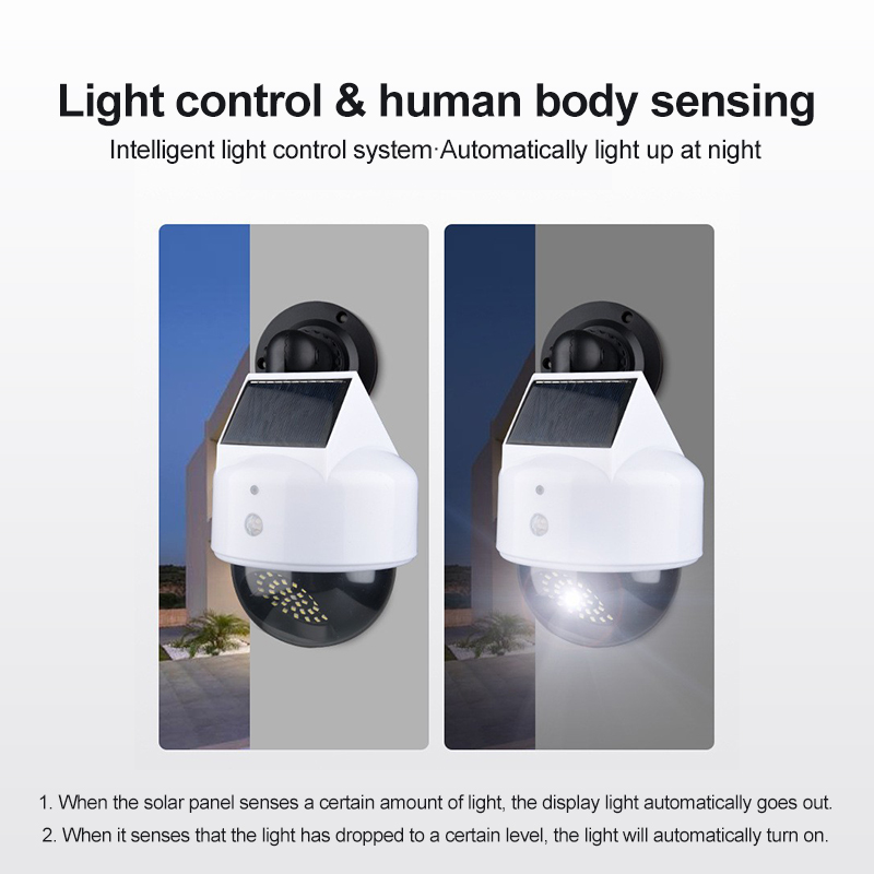 Solar Simulation Camera Motion - Photography Lighting Portrait ulasan dan harga